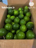 لیموترش رودان در دهبارز در گروه خرید و فروش لیمو ترش در یکمیوه