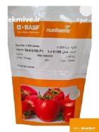 بذر گوجه سانسید 6189 در اسکو در گروه خرید و فروش بذر گوجه در یکمیوه