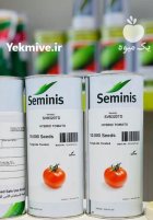 بذر گوجه 8320 بذر گوجه 8320 در بار  در گروه خرید و فروش بذر گوجه در یکمیوه