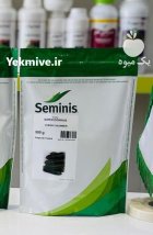 بذر خیار سوپر دومینوس در بدره در گروه خرید و فروش بذر خیار در یکمیوه