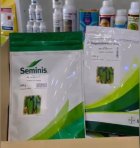 بذر خیار دو ان نادا ان در بستک در گروه خرید و فروش بذر خیار در یکمیوه