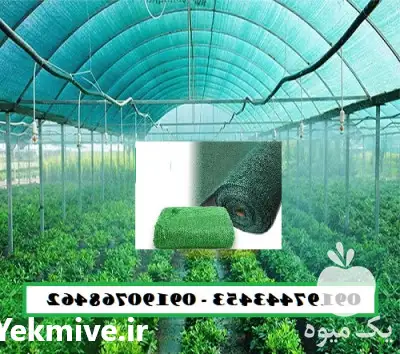 قیمت خرید توری شید گلخانه درصد در تهران در گروه خرید و فروش توری گلخانه در یکمیوه -عکس1