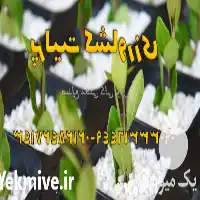 قیمت خرید پرلیت کشاورزی در تهران در گروه خرید و فروش انواع کود کشاورزی در یکمیوه