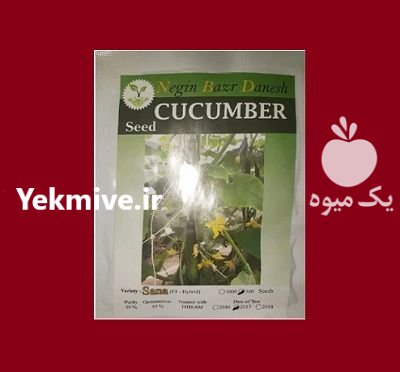 فروش بذر خیار گلخانه ای ثنا در همدان در گروه خرید و فروش بذر خیار در یکمیوه -عکس1