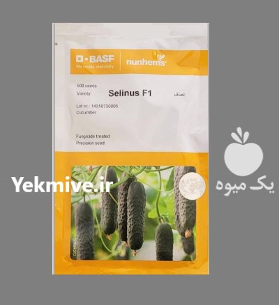 بذر خیار سلینوس نانهمز هلند بذر در بندرعباس در گروه خرید و فروش بذر خیار در یکمیوه -عکس1