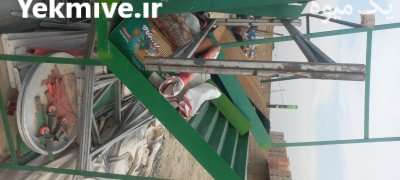 فروش پالت میوه در تهران در گروه خرید و فروش پالت در یکمیوه -عکس1