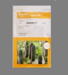 بذر خیار سلینوس نانهمز هلند بذر در بندرعباس در گروه خرید و فروش بذر خیار در یکمیوه