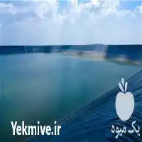 فروش خرید و نصب ژئوممبران در اصفهان در گروه خرید و فروش ژئوممبران و ژئوتکستایل در یکمیوه