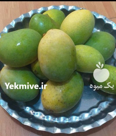 فروش عمده میوه انبه موز در هشتبندی در گروه خرید و فروش انبه در یکمیوه -عکس1