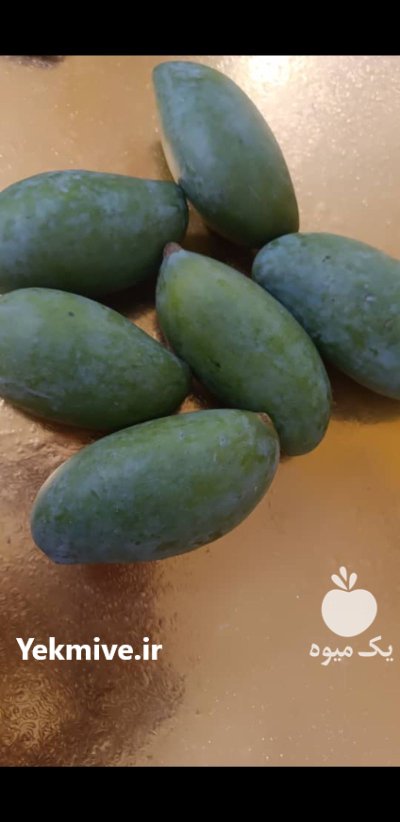 فروش عمده میوه انبه موز در هشتبندی در گروه خرید و فروش انبه در یکمیوه -عکس2