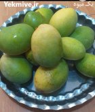 فروش عمده میوه انبه موز در هشتبندی در گروه خرید و فروش انبه در یکمیوه