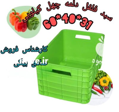 فروش سبد گلخانه سبد فلفل دلمه جعبه فلفل در پاکدشت در گروه خرید و فروش انواع سبد در یکمیوه -عکس1