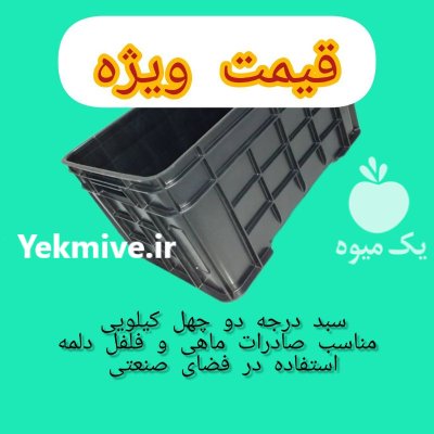 فروش سبد کیلویی ماهی باسکت ماهی در قشم در گروه خرید و فروش انواع سبد در یکمیوه -عکس2