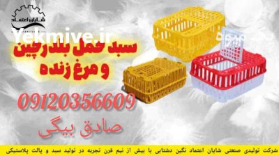 قیمت خرید سبد حمل مرغ زنده در تهران در گروه خرید و فروش انواع سبد در یکمیوه -عکس3