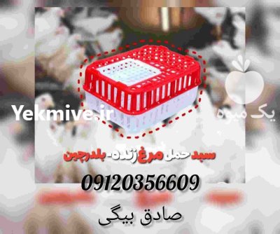 فروش سبدحمل مرغ زنده در ارومیه در گروه خرید و فروش انواع سبد در یکمیوه -عکس1