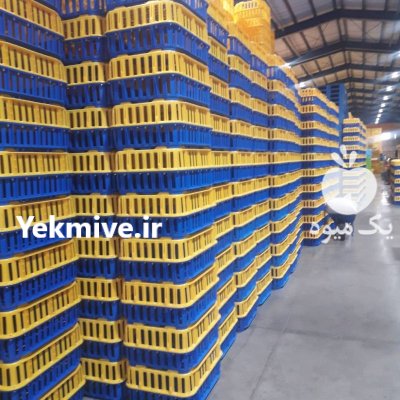 فروش سبدحمل مرغ زنده در ارومیه در گروه خرید و فروش انواع سبد در یکمیوه -عکس2