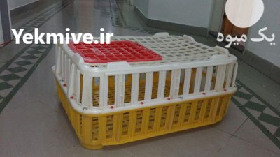 فروش سبدحمل مرغ زنده در ارومیه در گروه خرید و فروش انواع سبد در یکمیوه -عکس3