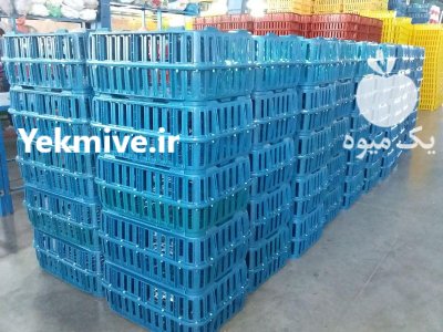 فروش قفس مرغی تولید سبد مرغی در رشت در گروه خرید و فروش انواع سبد در یکمیوه -عکس3