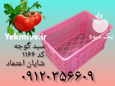 فروش سبد مرکبات در اصفهان سبد گوجه در گروه خرید و فروش انواع سبد در یکمیوه -عکس1