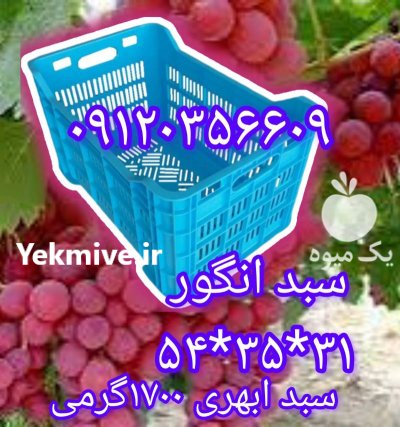 فروش سبد گلخانه ای سبد فلفل در کهنوج در گروه خرید و فروش انواع سبد در یکمیوه -عکس1