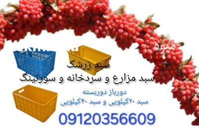 فروش سبد زرشک در خراسان جنوبی در بیرجند در گروه خرید و فروش انواع سبد در یکمیوه -عکس1