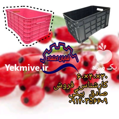 فروش سبد زرشک در خراسان جنوبی در بیرجند در گروه خرید و فروش انواع سبد در یکمیوه -عکس3