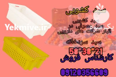 فروش سبد ماهی ویژه بازار ماهی در تهران در گروه خرید و فروش انواع سبد در یکمیوه -عکس1