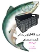فروش سبد کیلویی ماهی باسکت ماهی در قشم در گروه خرید و فروش انواع سبد در یکمیوه
