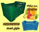 فروش سبد گلخانه سبد پرتقال سبد در اصفهان در گروه خرید و فروش انواع سبد در یکمیوه