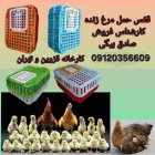 فروش قفس مرغی تولید سبد مرغی در رشت در گروه خرید و فروش انواع سبد در یکمیوه