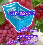 فروش سبد گلخانه ای سبد فلفل در کهنوج در گروه خرید و فروش انواع سبد در یکمیوه