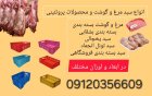 قیمت خرید سبد کشتارگاهی سبد مرغ در قزوین در گروه خرید و فروش انواع سبد در یکمیوه
