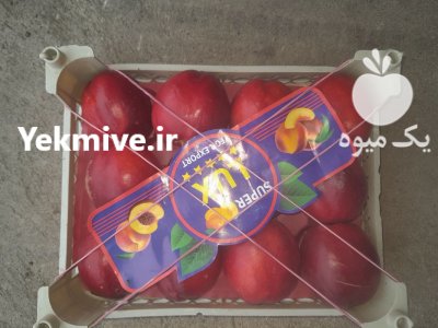 فروش فوری شلیل سوپر شمال اماده در ساری در گروه خرید و فروش شلیل در یکمیوه -عکس2