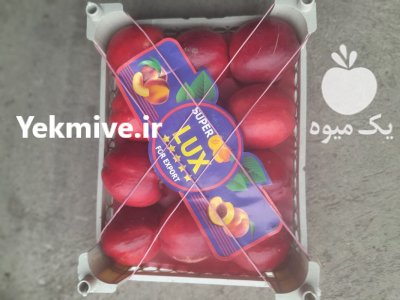 فروش فوری شلیل سوپر شمال اماده در ساری در گروه خرید و فروش شلیل در یکمیوه -عکس3