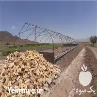 ساخت گلخانه های تونلی مدرن در مشهد در گروه سازنده در یکمیوه