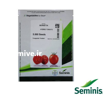 بذر گوجه فرنگی هیبرید برنتا در اصفهان در گروه خرید و فروش بذر گوجه در یکمیوه -عکس1