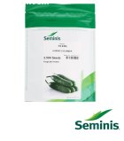 فروش بذر خیار PX 8306 Seminis در اردبیل در گروه خرید و فروش بذر خیار در یکمیوه