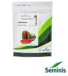 بذر هندوانه سانتا ماتیلده سمینیس در همدان در گروه خرید و فروش بذر هندوانه در یکمیوه