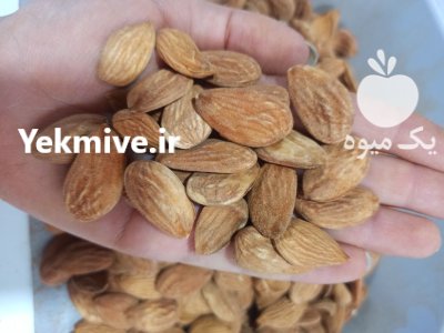مغز بادام درختی در نجف آباد در گروه خرید و فروش بادام در یکمیوه -عکس1