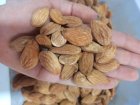 مغز بادام درختی در نجف آباد در گروه خرید و فروش بادام در یکمیوه