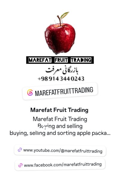 فروش و واگذاری باغات سیب در اشنویه در گروه خرید و فروش سیب در یکمیوه -عکس2