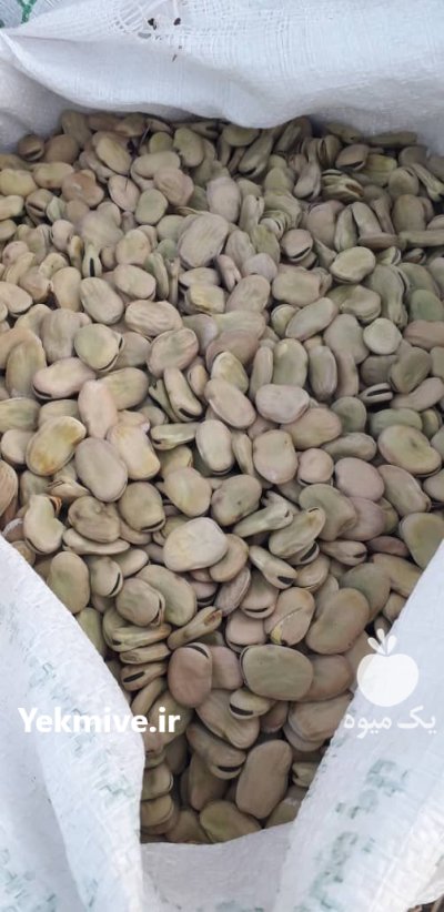 فروش ویژه باقلا به صورت عمده در بهشهر در گروه خرید و فروش محصولات صیفی در یکمیوه -عکس1