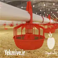 قیمت خرید دانخوری بشقابی تمام اتوماتیک در تهران در گروه تجهیزات مرغداری در یکمیوه