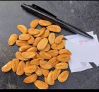 خشکبار در ارومیه در گروه خرید و فروش آجیل در یکمیوه