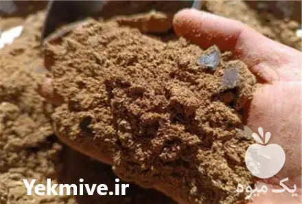 فروش کنجاله پنبه دانه در نیشابور در گروه خرید و فروش گیاهان صنعتی در یکمیوه -عکس1