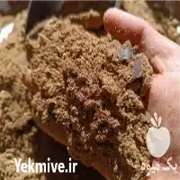 فروش کنجاله پنبه دانه در نیشابور در گروه خرید و فروش گیاهان صنعتی در یکمیوه