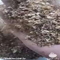 قیمت خرید سبوس پسته در نیشابور در گروه خرید و فروش پسته در یکمیوه