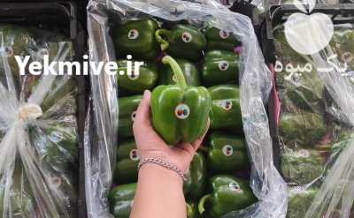 فلفل دلمه سبز و شمشیری گلخانه ای در یزد در گروه خرید و فروش فلفل در یکمیوه -عکس1