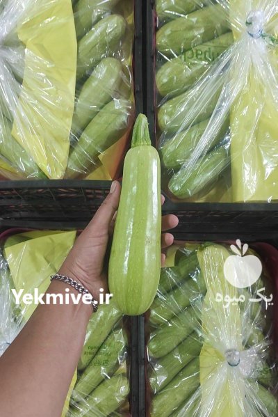 بادمجان کدو خورشتی در یزد در گروه خرید و فروش بادمجان در یکمیوه -عکس1