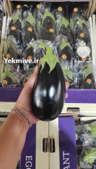 بادمجان لامپی گلخانه ای در یزد در گروه خرید و فروش بادمجان در یکمیوه